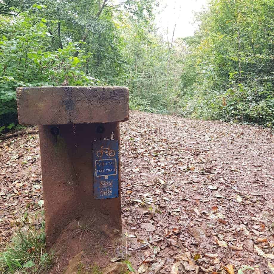 a bench on a woodland path with a sign for the taff trail